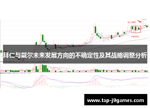 拜仁与戴尔未来发展方向的不确定性及其战略调整分析 拜仁与戴尔未来发展方向的不确定性及其战略调整分析