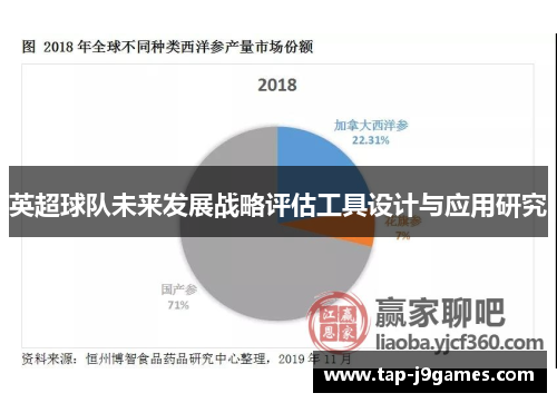 英超球队未来发展战略评估工具设计与应用研究 英超球队未来发展战略评估工具设计与应用研究